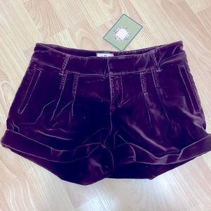 NWT Juicy Couture Burgundy Velour Pintuck Short shorts size 4